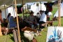Thumbs/tn_Teylingen in rep en roer 014.jpg